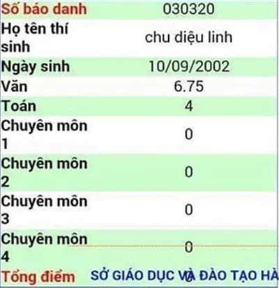 Tiểu sử Linh Ka: Hotgirl trẻ tuổi nhiều thị phi sở hữu lượng anti-fan khủng 22