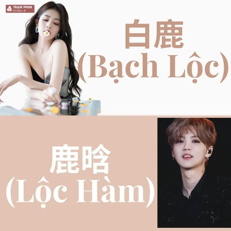 VOH-Tieu-su-Bach-Loc-anh8